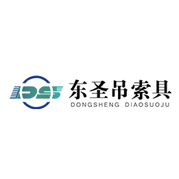 DHS環(huán)鏈電動(dòng)葫蘆河北東圣吊索具制造有限公司